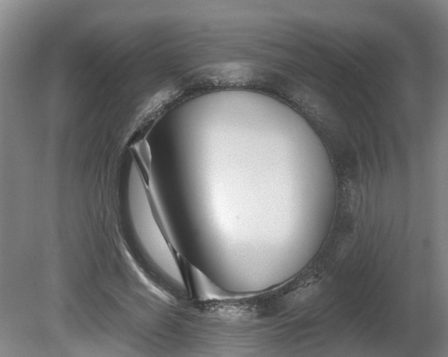 X0000081420638200701191557