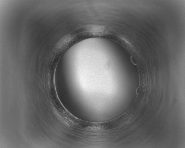 X0000081420639200701191557