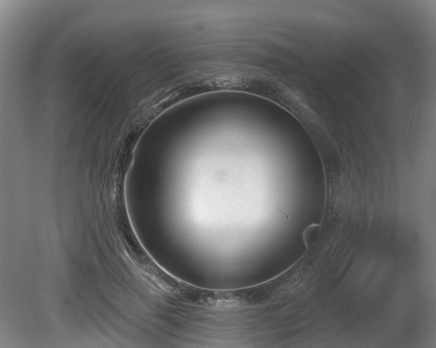 X0000081420645200701191557