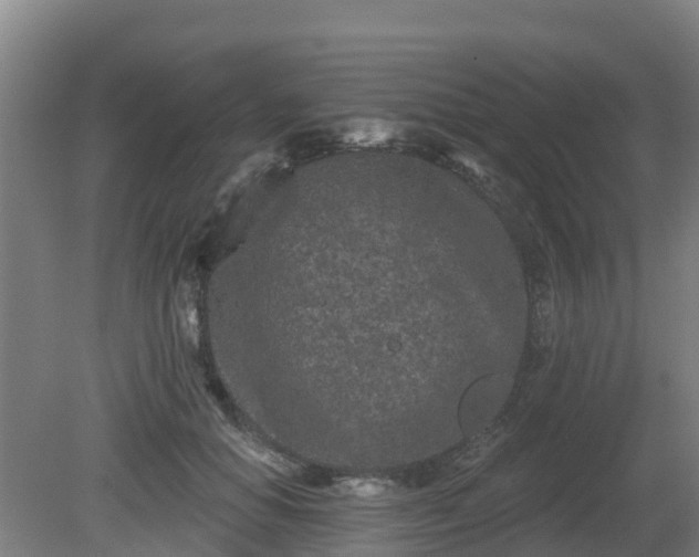 X0000081420654200701191557