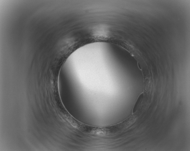 X0000081420655200701191557