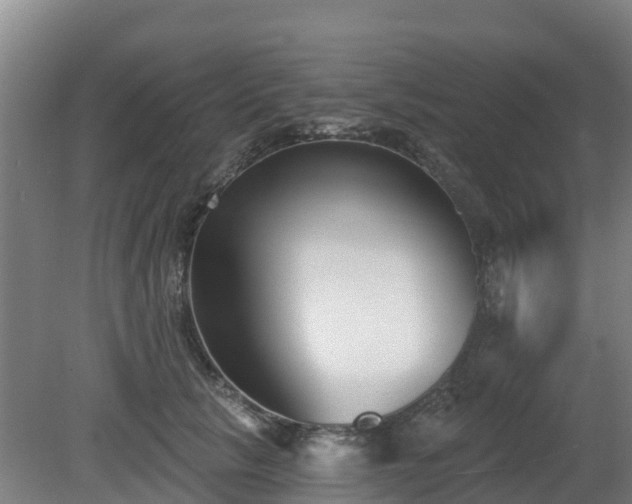 X0000081420657200701191557