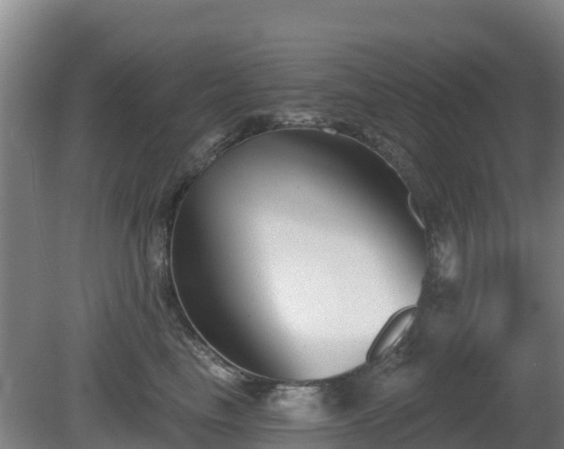 X0000081420665200701191557