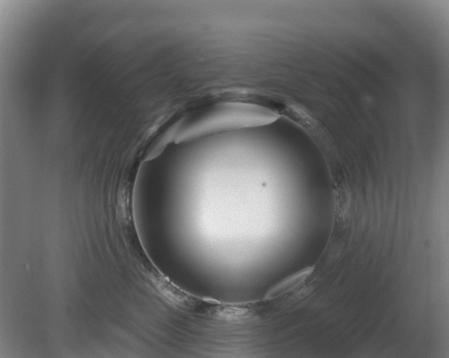 X0000081420669200701191557