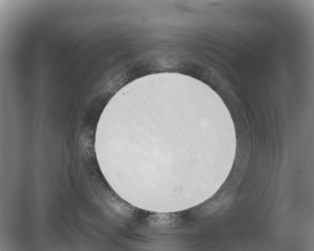 X0000081420672200701191557