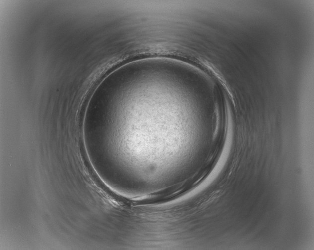 X0000081420673200701191556