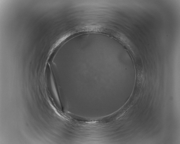 X0000081420674200701191556