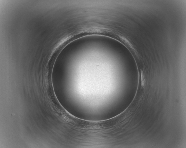 X0000081420675200701191556