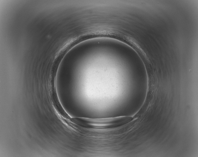 X0000081420677200701191556