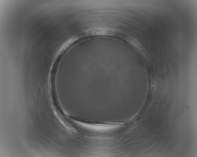 X0000081420678200701191556