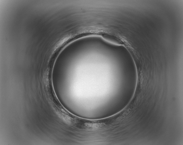X0000081420679200701191556