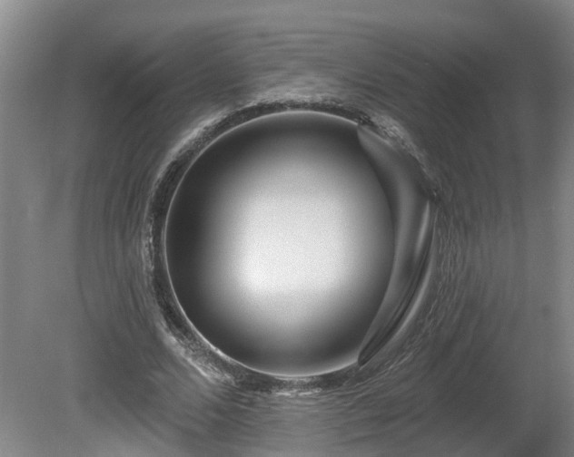 X0000081420680200701191556