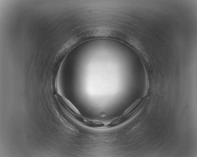 X0000081420681200701191556