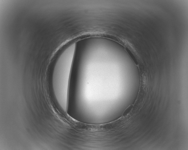 X0000081420684200701191556