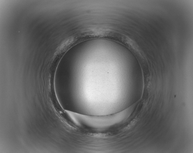 X0000081420685200701191556