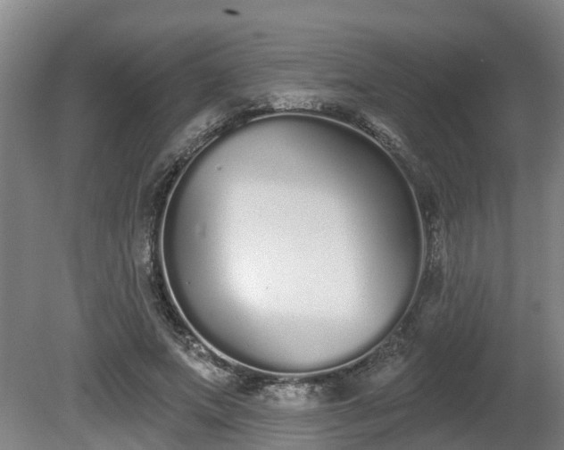 X0000081420687200701191556