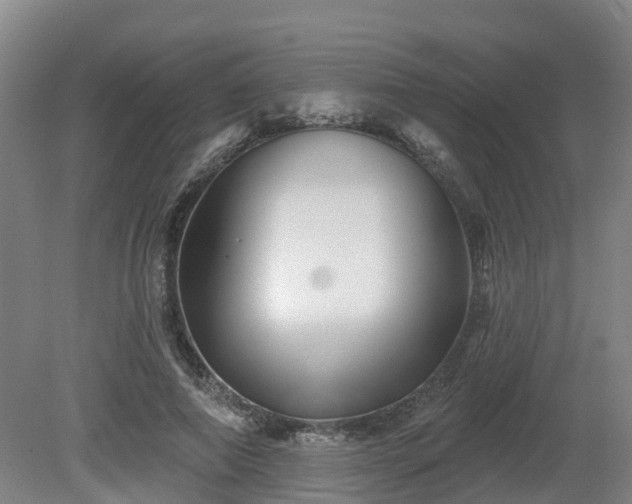 X0000081420690200701191556