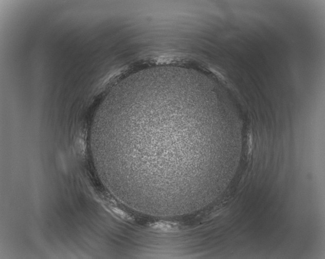 X0000081420691200701191556
