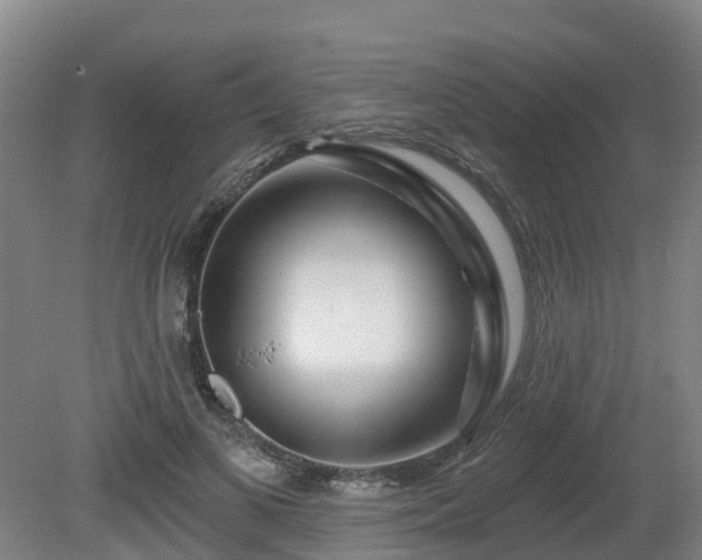 X0000081420693200701191556