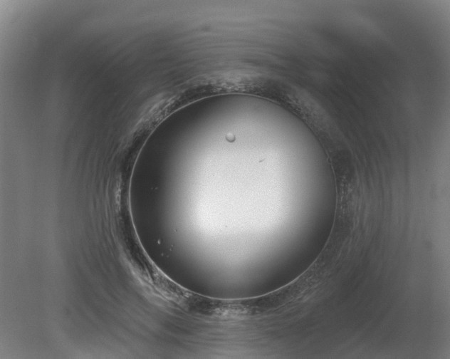 X0000081420694200701191556