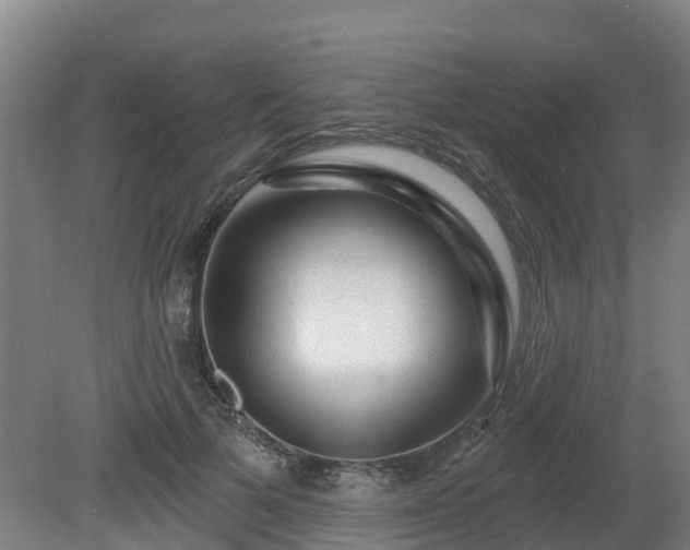 X0000081420697200701191556