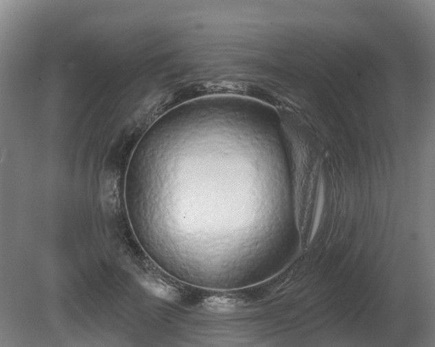 X0000081420699200701191556