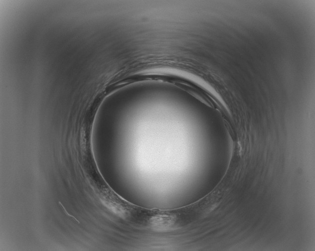 X0000081420700200701191556