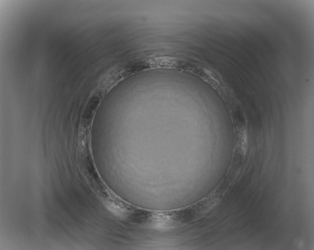 X0000081420701200701191556