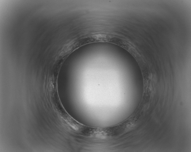 X0000081420702200701191556
