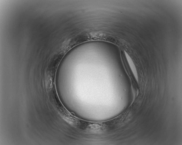 X0000081420703200701191556