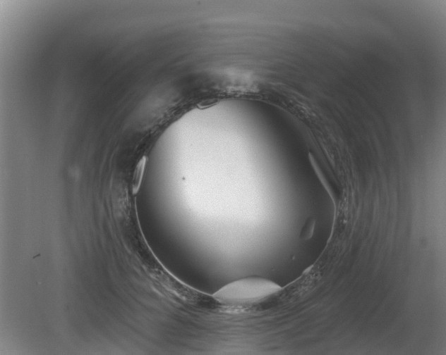 X0000081420704200701191556