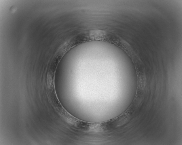 X0000081420705200701191556