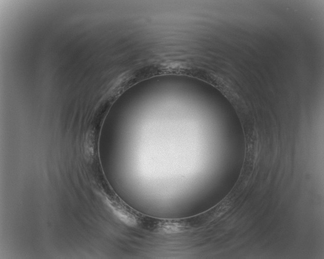 X0000081420710200701191556