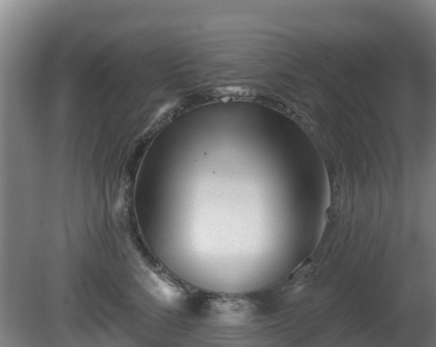 X0000081420712200701191556