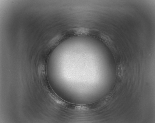 X0000081420714200701191556