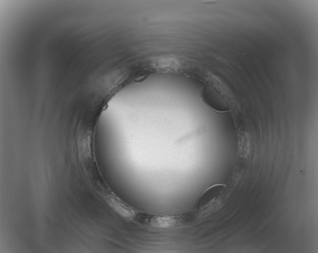 X0000081420717200701191556