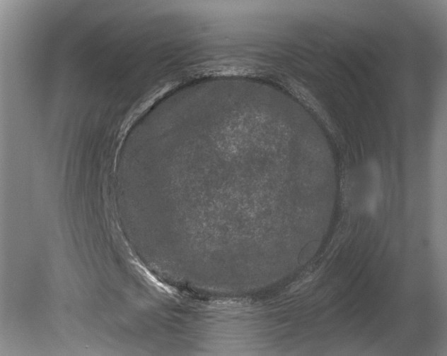 X0000081420721200701191555