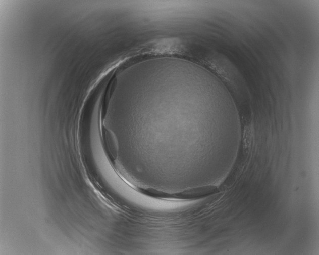 X0000081420722200701191555