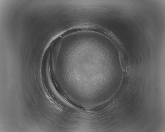 X0000081420724200701191555