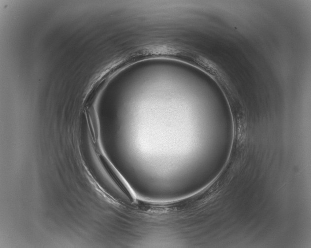X0000081420725200701191555