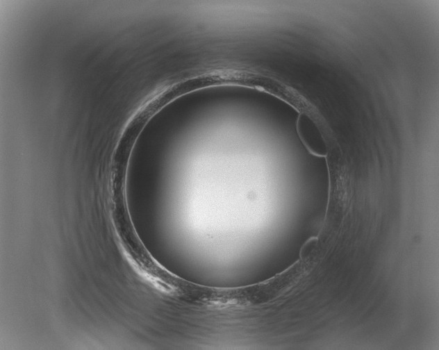 X0000081420730200701191555