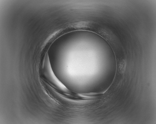 X0000081420732200701191555