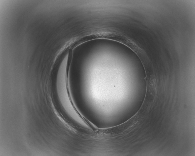 X0000081420734200701191555