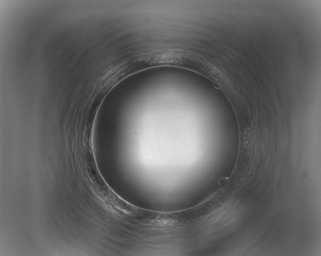 X0000081420741200701191555