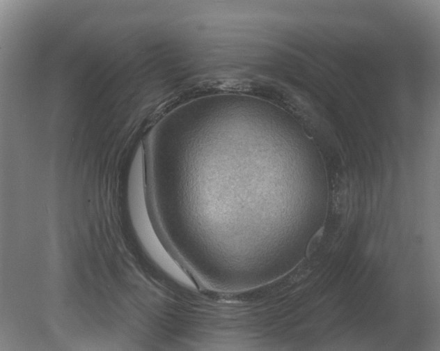 X0000081420748200701191555