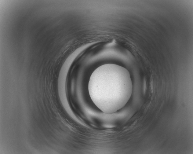 X0000081420750200701191555