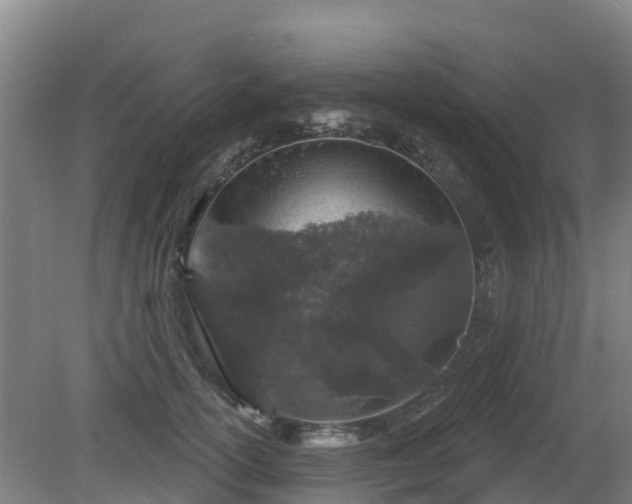 X0000081420754200701191555