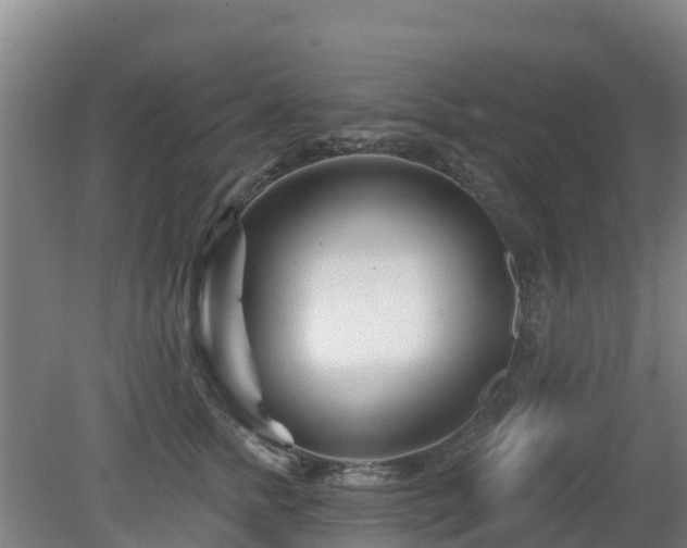 X0000081420758200701191555