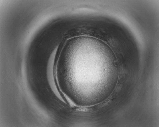 X0000081420765200701191556