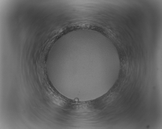 X0000081420769200701191555